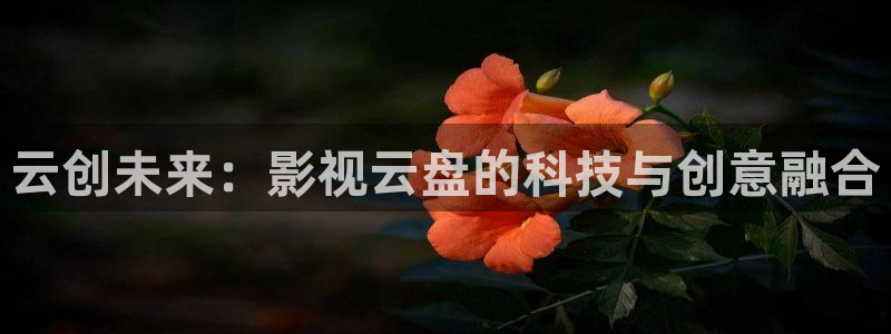 四虎成年人电影