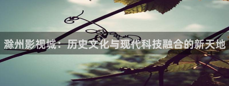 四虎影视1515hh