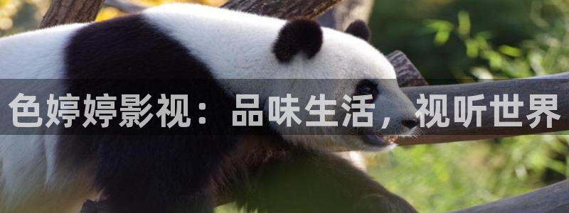 四虎影视com w