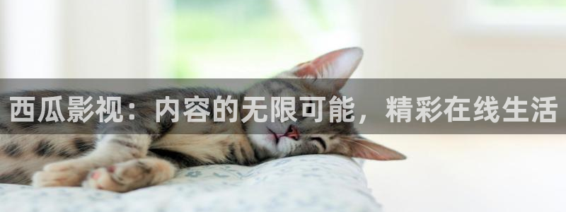 四虎影视在线国产